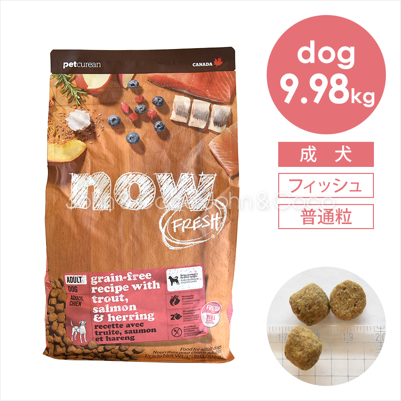 NOW FRESH - 「人並み外れた通貨価値10%オフ！4/20(月)14:00迄」ナウ 生新しい グレインフリー フィッシュアダルト 9.98kg 犬用品-ドッグフード