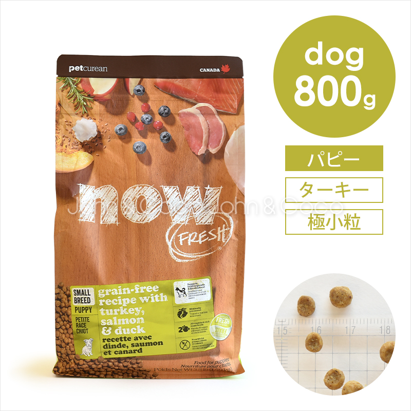 ナウ フレッシュ（NOW FRESH） グレインフリー スモールブリード パピー 800g 犬 ドッグフード ドライフード 子犬 幼犬 小粒 ターキー | NOW FRESH