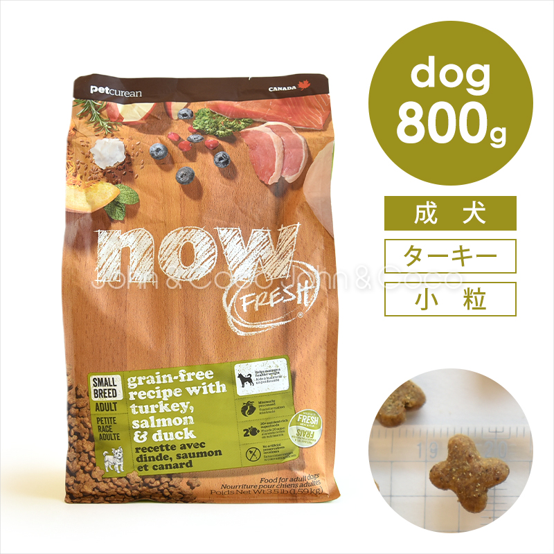 ナウ フレッシュ（NOW FRESH） グレインフリー スモールブリード アダルト 800g 犬 ドッグフード ドライフード 成犬 小粒 ターキー | NOW FRESH