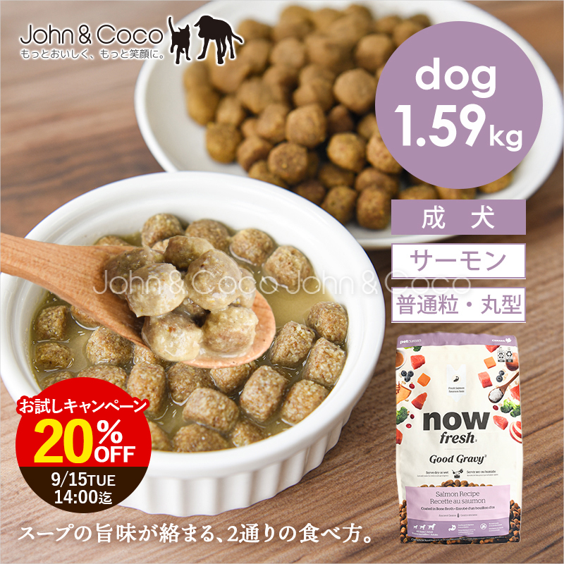 「20％オフ！9/15 14時迄」ナウ フレッシュ グッドグレービー オールブリード サーモンレシピ 1.59kg 犬 ドッグフード ドライフード nowfresh【公式販売店】 | NOW FRESH