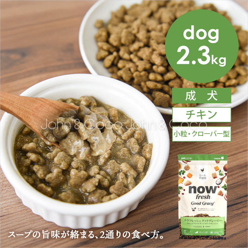 「先着プレゼント付」ナウ フレッシュ（NOW FRESH） グッドグレービー スモールブリード ゲージフリーチキンレシピ 2.3kg 犬 ドッグフード