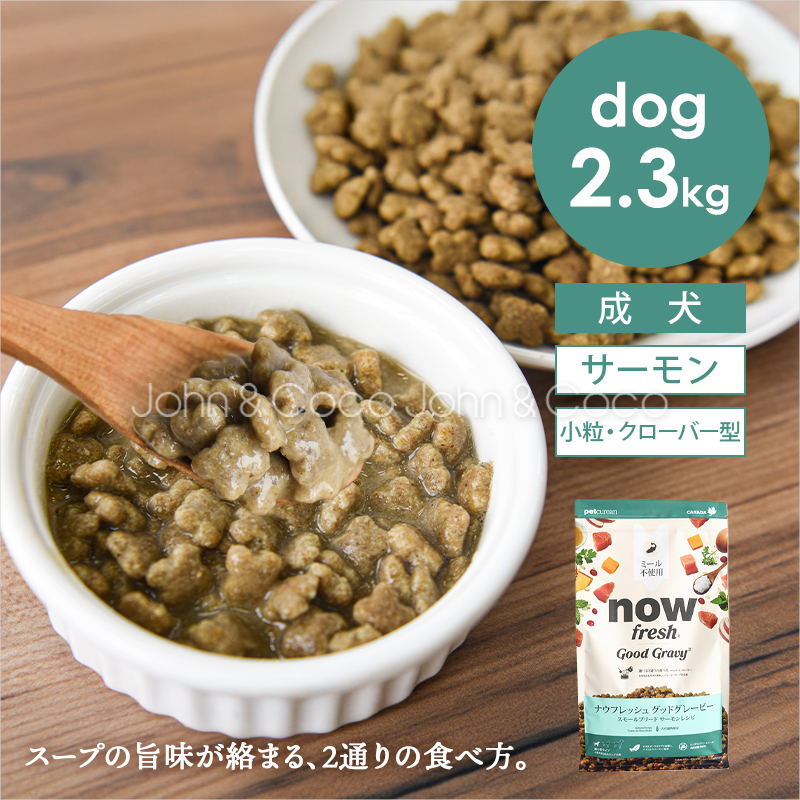 「先着プレゼント付」ナウ フレッシュ（NOW FRESH） グッドグレービー スモールブリード サーモンレシピ 2.3kg 犬 ドッグフード