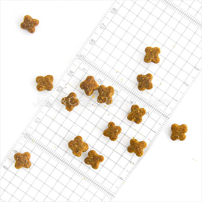「先着プレゼント付」ナウ フレッシュ（NOW FRESH） グッドグレービー スモールブリード サーモンレシピ 2.3kg 犬 ドッグフード_5