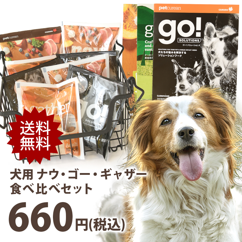 ナウ・ゴー・ギャザー DOG 食べ比べセット ドッグフード お試し 美しい