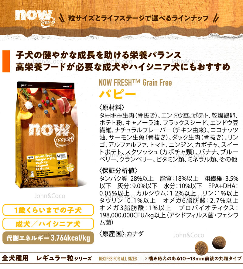 ナウ フレッシュ（NOW FRESH） DOG グレインフリー パピー お試しミニサイズ50g 子犬 グルテンフリー お試し商品 サンプル | NOW FRESH | 04