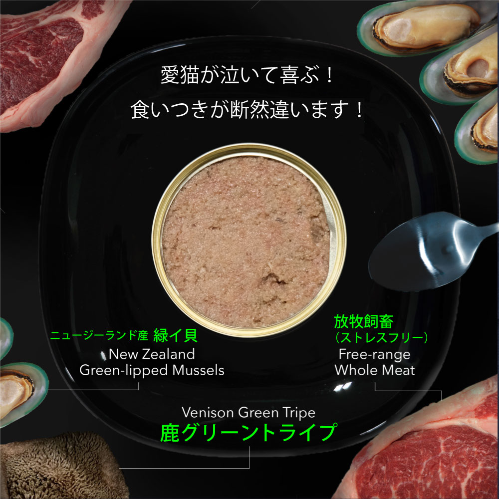 「お試し20%オフ!7/31金 14時迄」ニュ...の詳細画像4