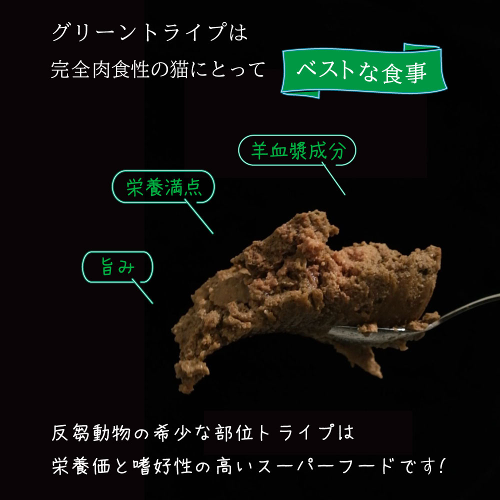 「お試し20%オフ!7/31金 14時迄」ニュ...の詳細画像5