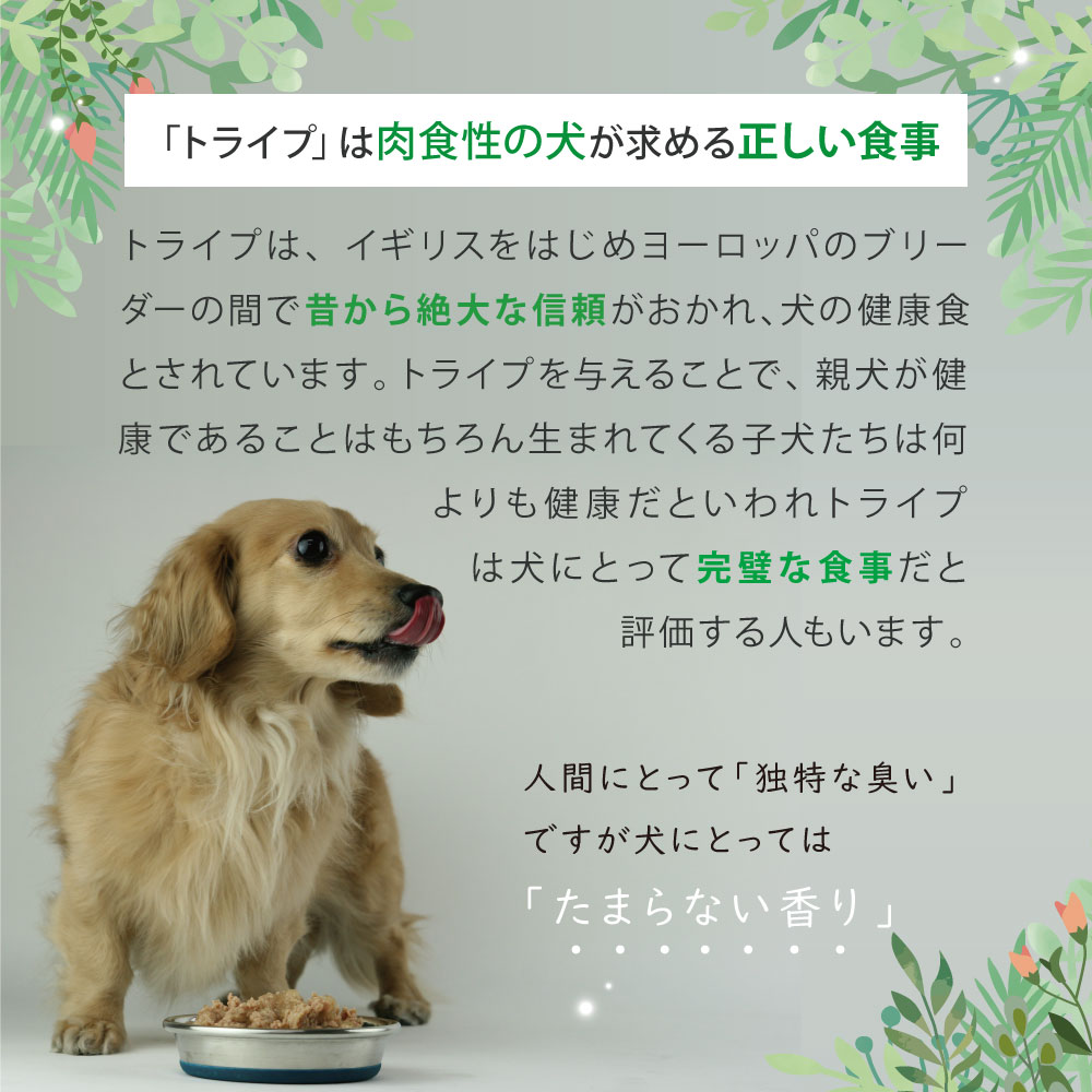 ニュートライプ DOG ピュア ビーフ&グリーントライプ缶 185g　犬 ウェットフード｜john-coco｜07