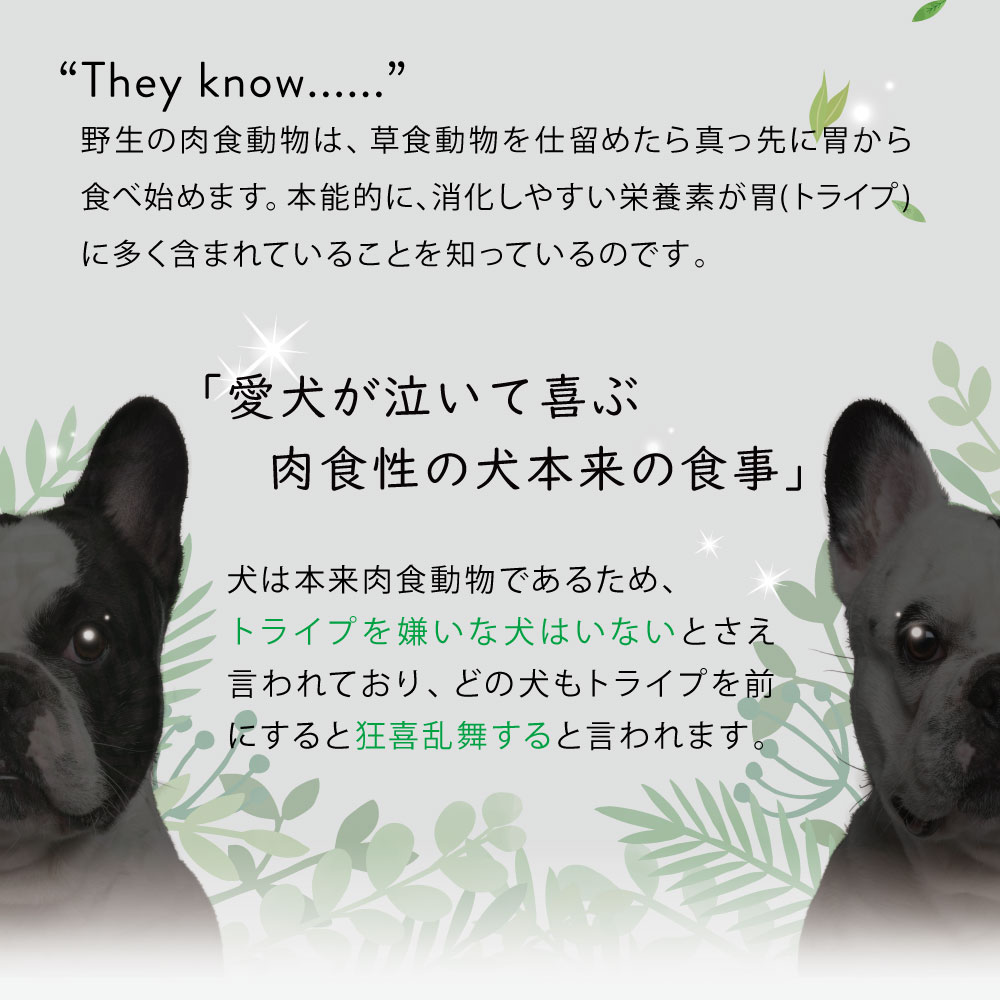 ニュートライプ DOG ピュア チキン&グリーントライプ缶 185g　犬 ウェットフード｜john-coco｜08