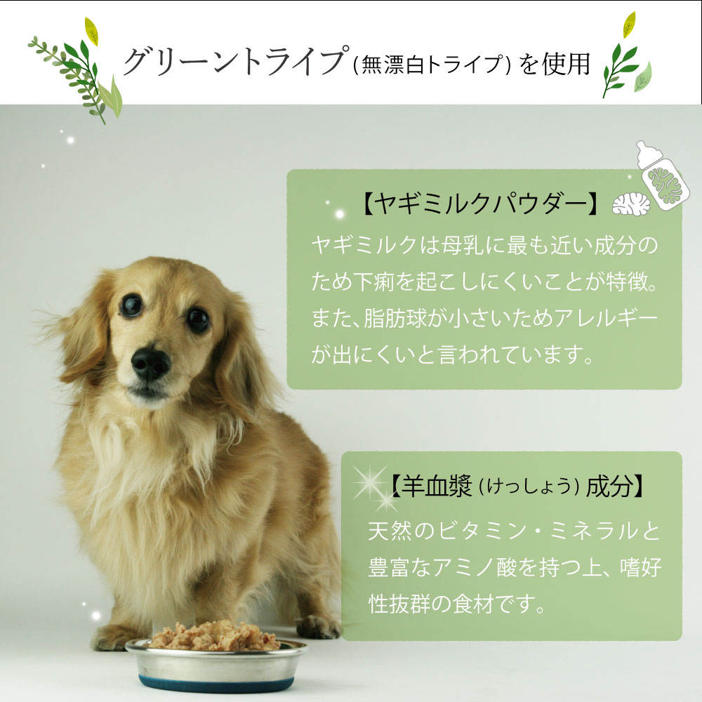 ニュートライプ DOG ピュア チキン&グリーントライプ缶 185g　犬 ウェットフード｜john-coco｜13