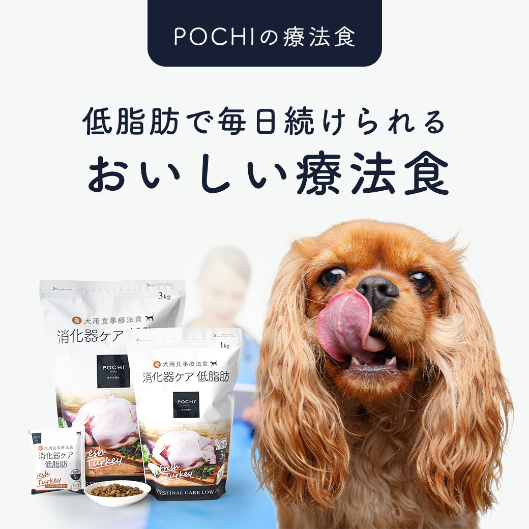 POCHI(ポチ) 食事療法食 消化器ケア 低脂肪 フレッシュターキー お試しミニサイズ50g 犬 ドッグフード ドライフード すい炎 胆泥症 脂質制限【公式販売店】 関連画像3