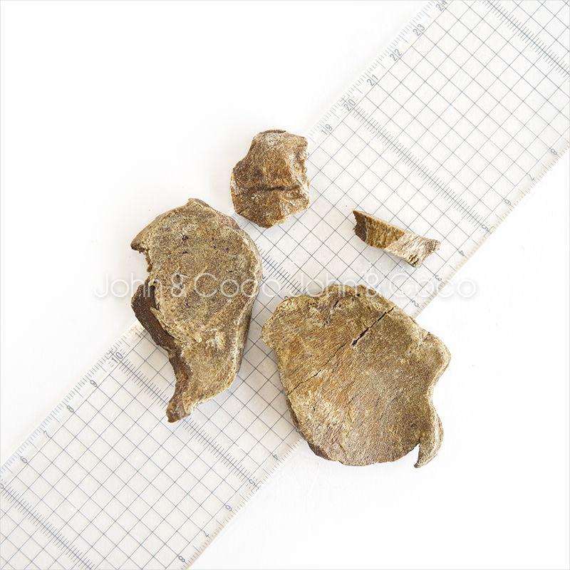 Piece 豚レバーフリーズドライ 25g 犬 猫 オヤツ トリーツ ポーク 手作り食素材 |  | 05