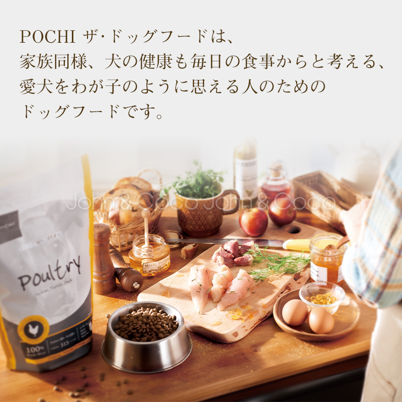 POCHI(ポチ) ザ・ドッグフード ベーシック ワイルドサーモン 3kg ドライフード 小粒 犬 グレインフリー 低脂肪 全年齢【公式販売店】 関連画像3