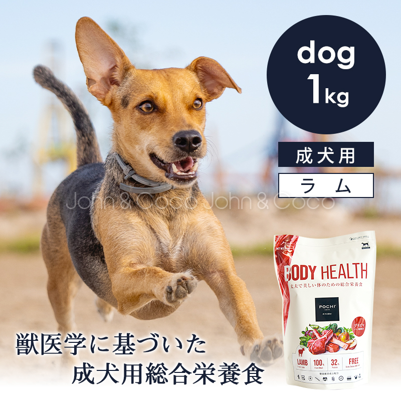 POCHI（ポチ） ボディヘルス ラム 3kg 犬 ドッグフード ドライフード