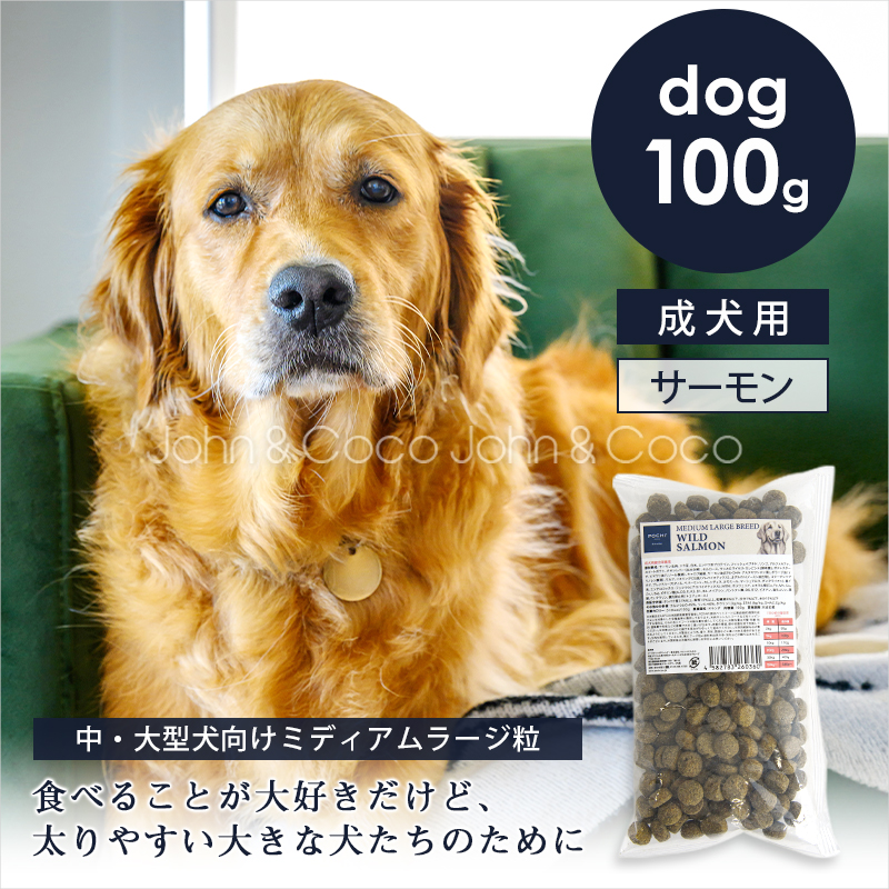 POCHI（ポチ） ミディアムラージブリード ワイルドサーモン お試しミニサイズ100g 犬 ドライフード 中大型犬 ミールフリー【公式販売店舗】