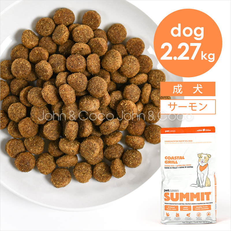 ゴー DOG センシティブ LID サーモン | プレミアムドッグフード