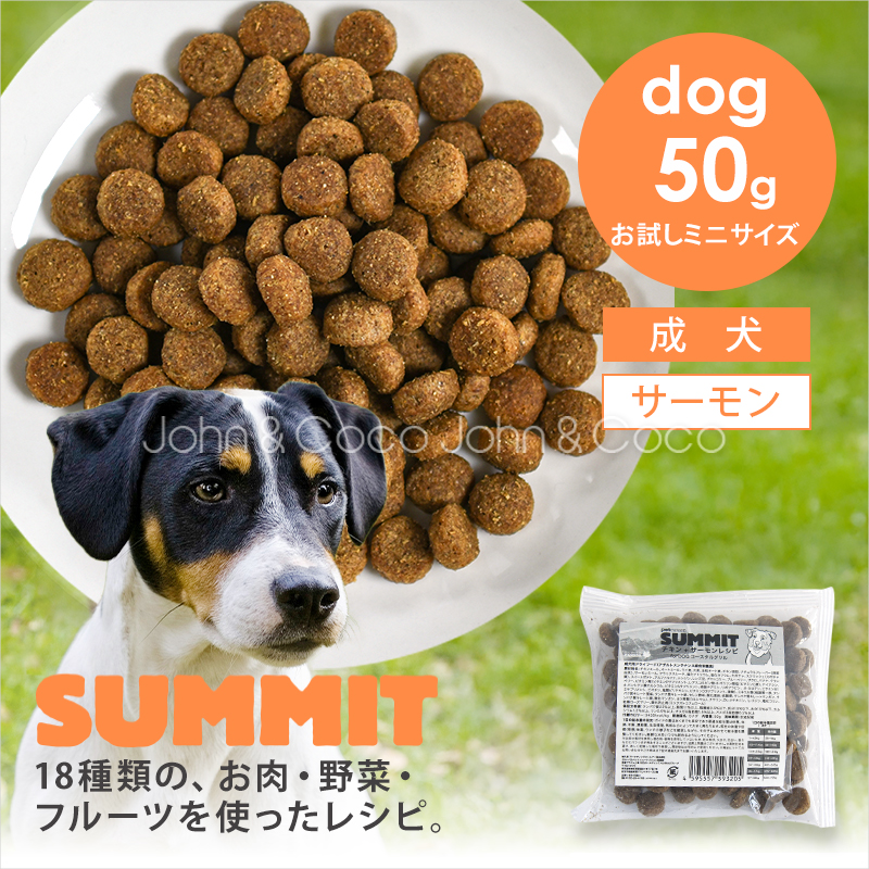 犬と猫のJohn&Coco'ジョン&ココ' - SUMMIT（サミット）｜Yahoo