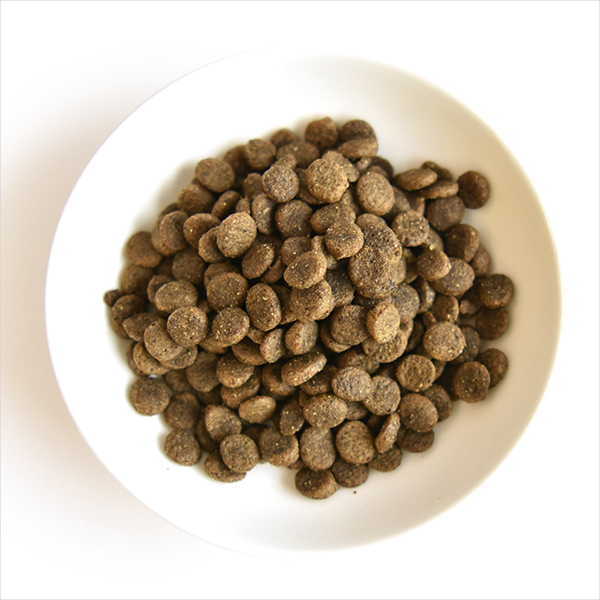 tama ボナペティ ラム＆フィッシュ 50g×20個（1kg） 猫 キャットフード ドライフード グルテンフリー 成猫 羊肉 クランベリー おしっこトラブル 不妊去勢後 | tama（ペット用品） | 01