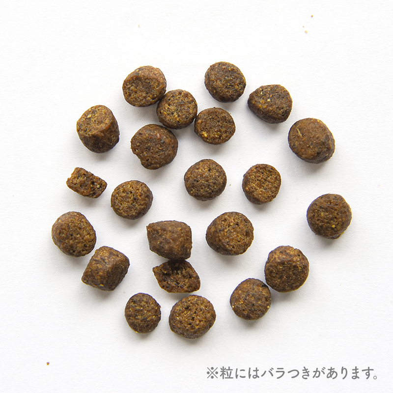 POCHI(ポチ) ザ・ドッグフード エイジングケアシニア ワイルドサーモン 3kg 犬 ドライフード 小粒 低リン 低脂質【公式販売店】 関連画像5