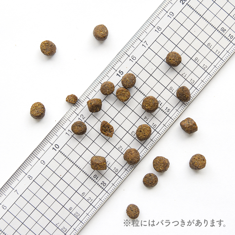 POCHI(ポチ) ザ・ドッグフード エイジングケアシニア ワイルドサーモン 3kg 犬 ドライフード 小粒 低リン 低脂質【公式販売店】 関連画像4