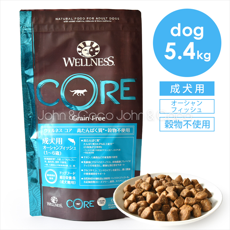 ウェルネス コア 穀物不使用 成犬用オーシャン 5.4kg ドッグフード ドライフード