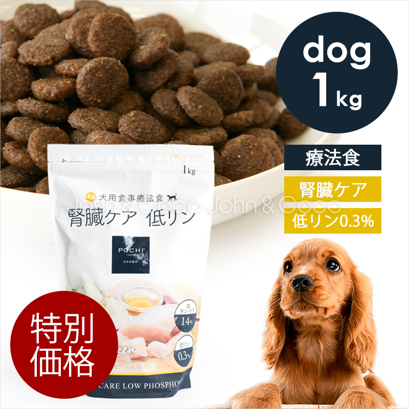 POCHI（ポチ） 食事療法食 ウェット 腎臓ケア チキン 80g×20個 犬