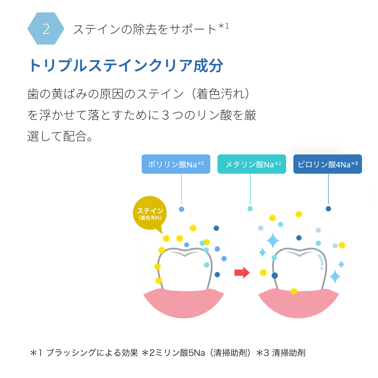 歯磨き粉 アンレーベルラボ HA トゥースペースト 100g 美白 黄ばみ 歯 