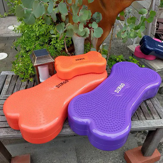 ディンゴ バランスディスク ボーン Mサイズ DINGO (お取り寄せ商品) 関連画像2