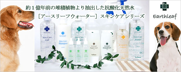 52%OFF!】 アースリーフ デンタルジェル 50g