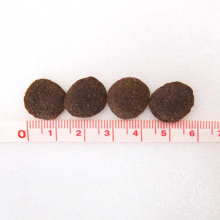 ルーシーペット 犬 サーモン・パンプキン&キヌア 5.4kg ドッグフード (お取り寄せ商品) 関連画像2