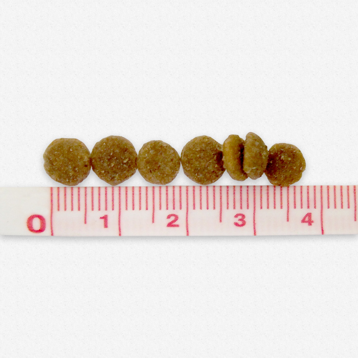ネイチャーズプロテクション ホワイトドッグ ラム アダルト 1.5kg 関連画像2