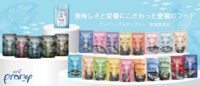ペキニーズ　　シュタイフのヴィンテージドッグ　ヘッドはジョイント 当季大流行 ペキニーズ シュタイフのヴィンテージドッグ ヘッド
