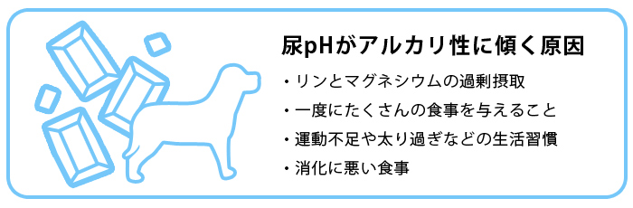プロベット 犬 ストルバイト 500g 結石 ドッグフード｜joinus-shop｜02