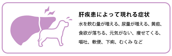 PROーVET（プロベット） 犬 ヘパティック 7.5kg 肝臓・尿酸結石