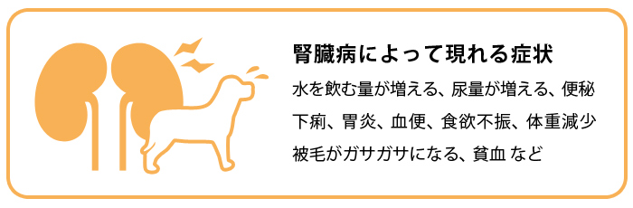 プロベット 犬 リーナルオキサレート 1kg 腎臓・シュウ酸カルシウム結石 ドッグフード｜joinus-shop｜02