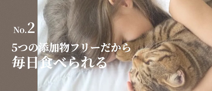 シルキャット 猫用フード マグロ 35g シルクフル 関連画像3