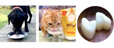 テイスティー 天使のヤギミルク いちごベリー味 150g 犬猫用｜joinus-shop｜07
