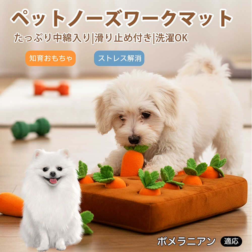 ポメラニアン犬 ポメ ダックスンド ノーズワーク にんじん畑 嗅覚