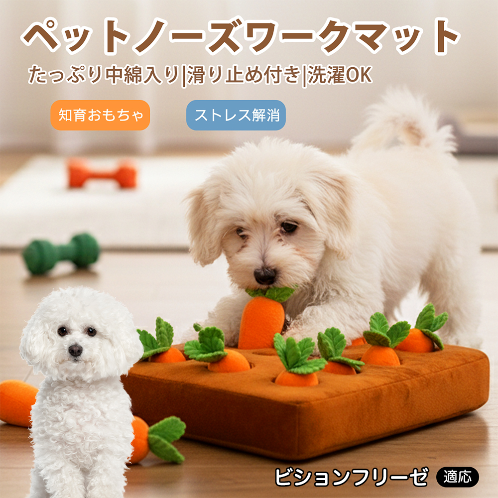 ビションフリーゼ犬 ビション ダックスンド ノーズワーク にんじん畑