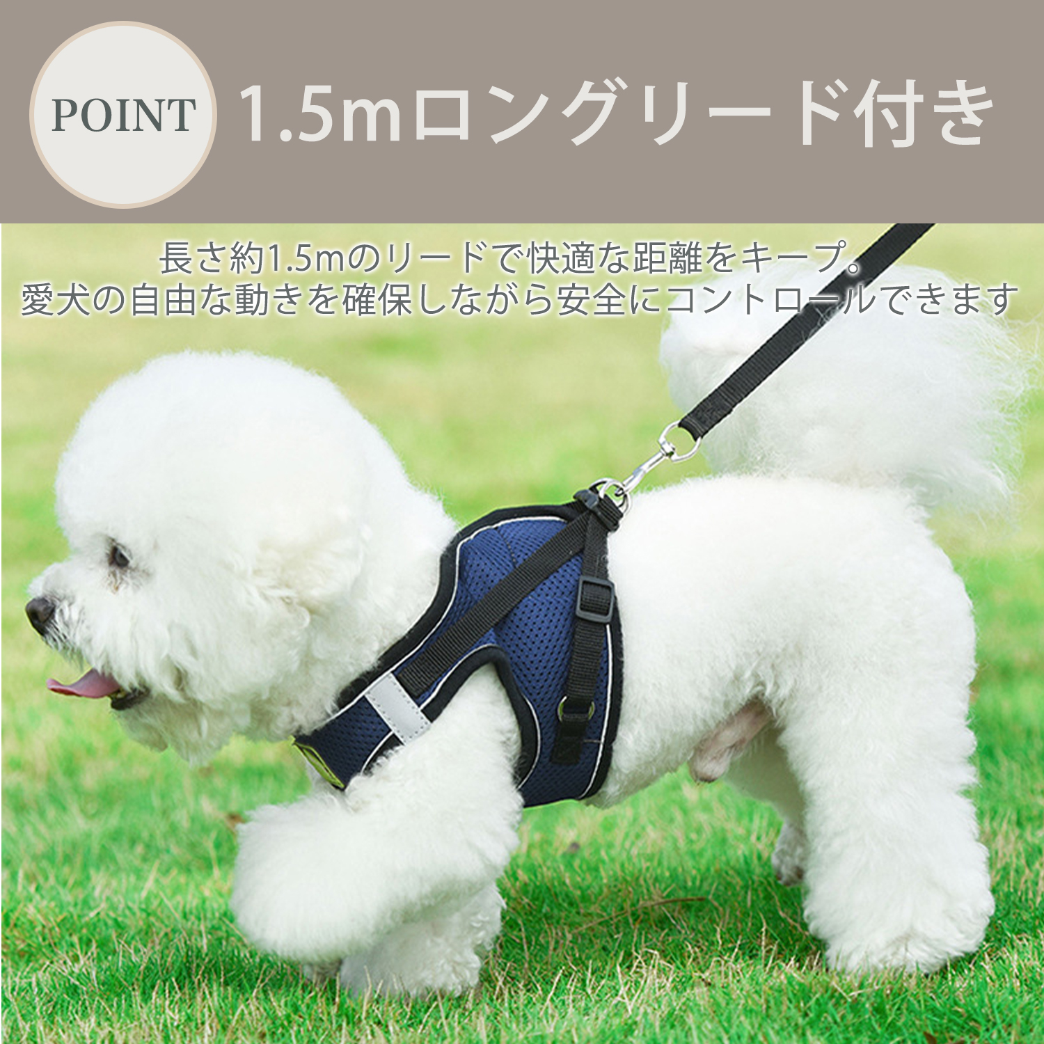 ビションフリーゼ犬 ビション 犬 ハーネス リードセット メッシュ 抜け