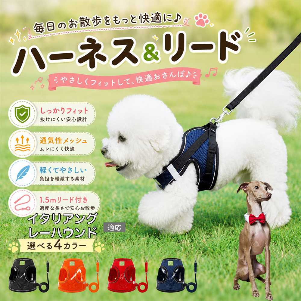 イタリアングレーハウンド犬 イタグレ 犬 ハーネス リードセット