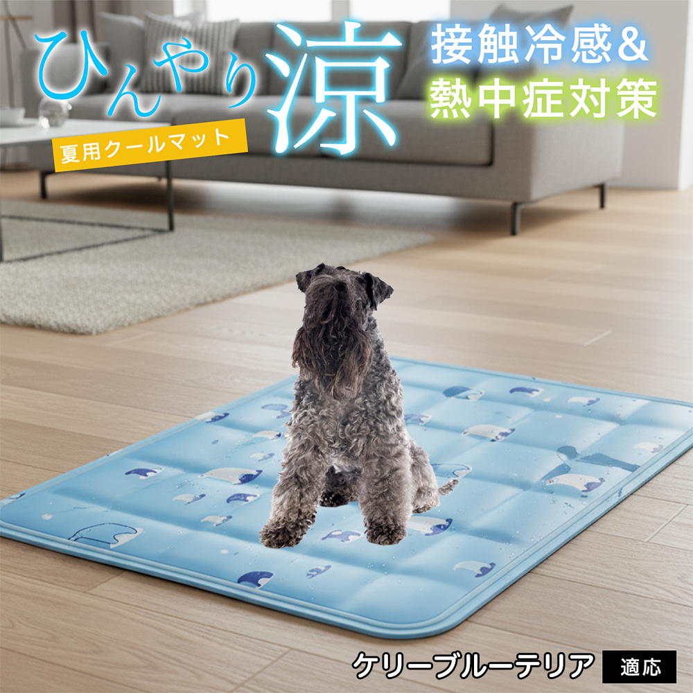 ケリーブルーテリア犬 ケリーブルー ペット クールマット ひんやりマット 犬 猫 夏用 冷感 ジェル 暑さ対策 熱中症予防 防水 丈夫 | 
