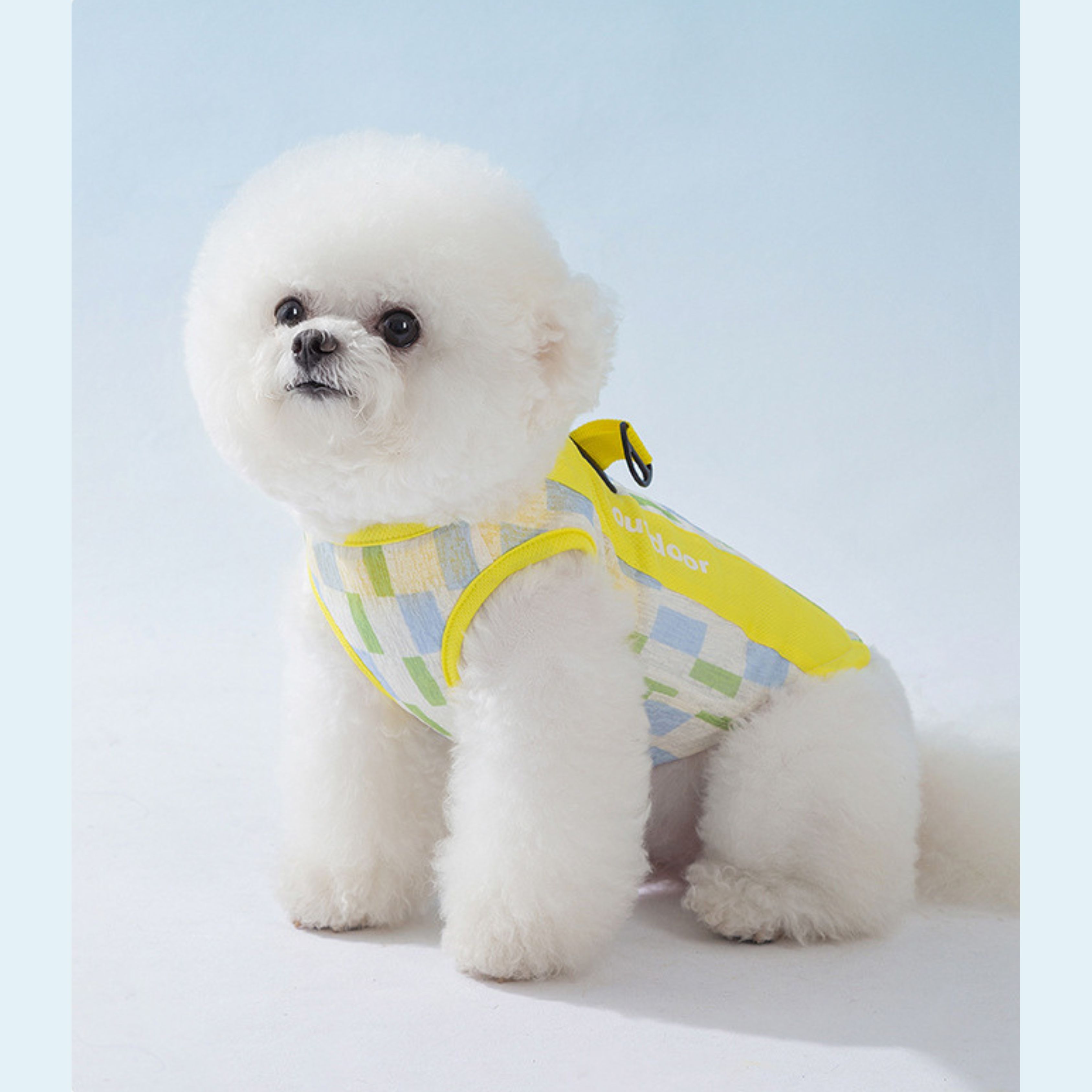 ビションフリーゼ ぬいぐるみ（犬服、アクセサリー）｜犬用品 | ペット