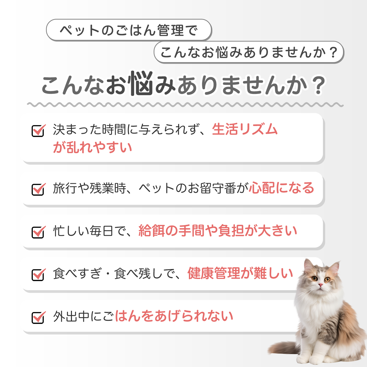 アメリカンワイヤーヘア猫 アメワイ 自動給餌器...の詳細画像1