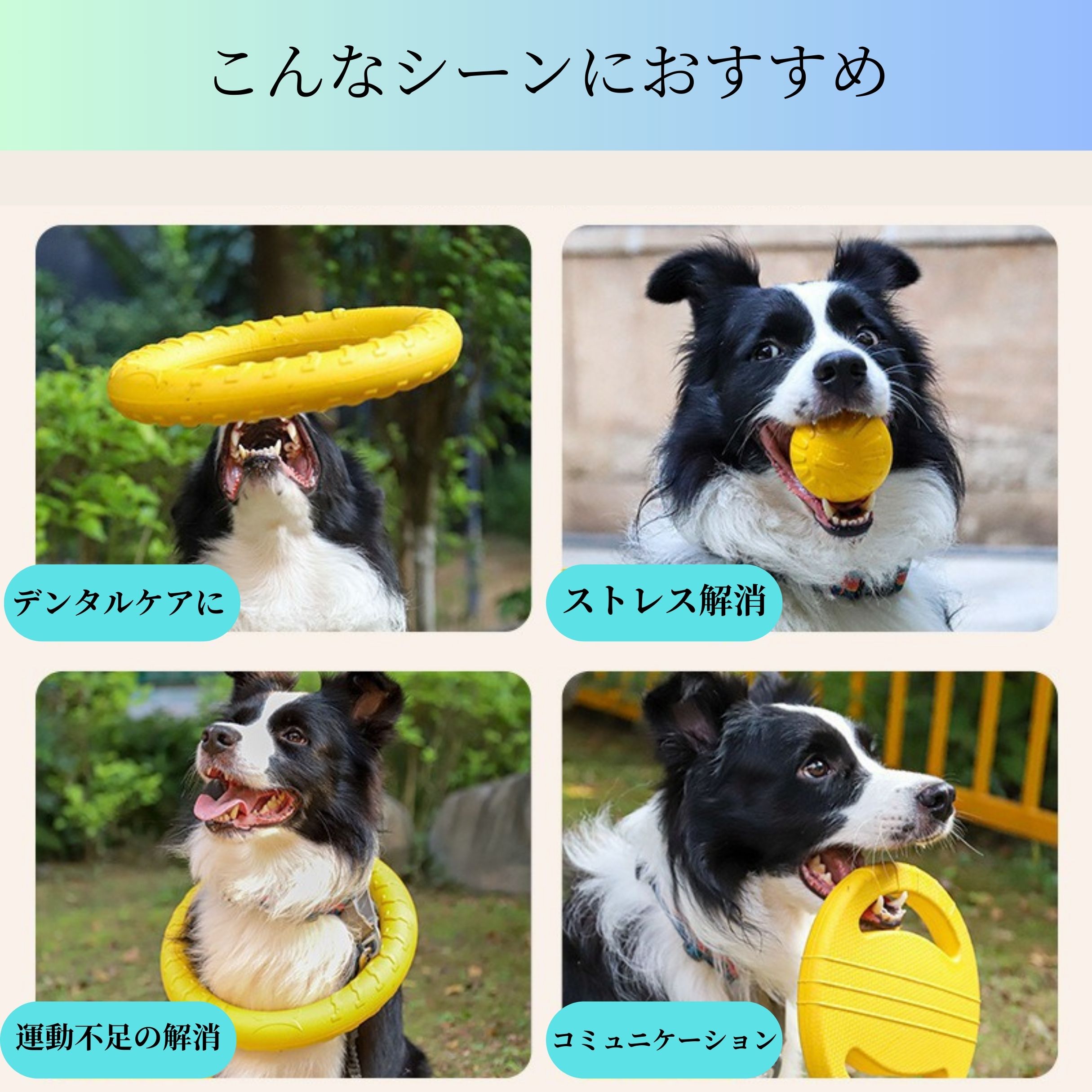 犬用 おもちゃ EVA リング ドーナツ ボール 噛む ペット玩具 軽量 素材