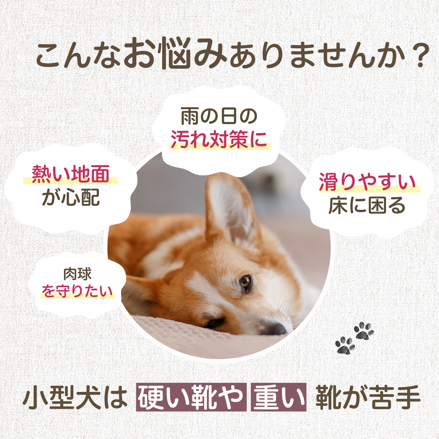 ビションフリーゼ犬 ビション 犬 靴 ドッグシューズ 4個セット
