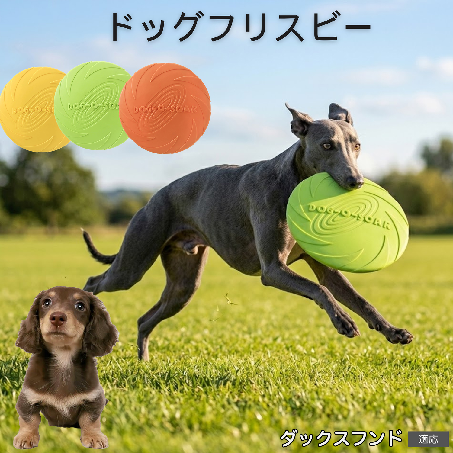 ダックスフンド犬種 ダックス フリスビー 犬用 おもちゃ 柔らかい