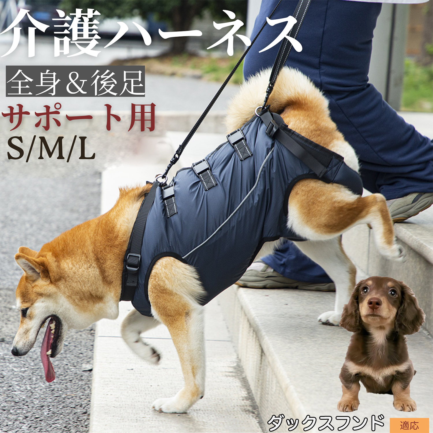 ダックスフンド犬種 ダックス 犬 介護 ハーネス 歩行補助 全身サポート