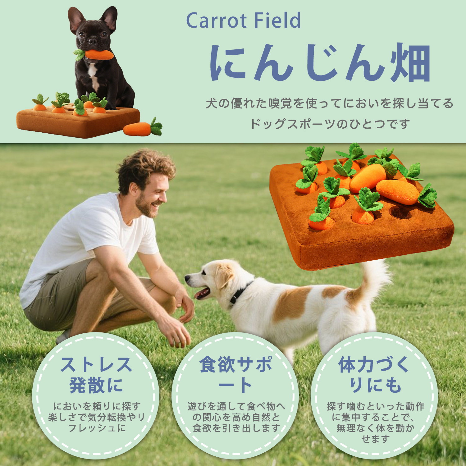 Guri　みんなでごろ寝わんこ　小物入れ ビションフリーゼ犬 ビション ダックスンド ノーズワーク にんじん畑
