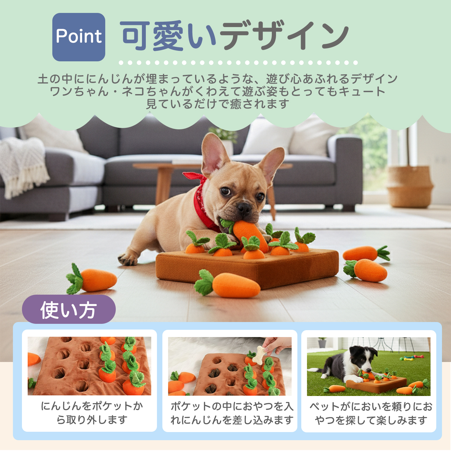 ビションフリーゼ犬 ビション ダックスンド ノーズワーク にんじん畑